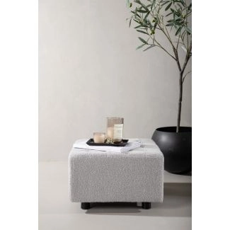 Rahi Elydrane Vaaleanharmaa