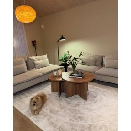 Turkismatto Rabbit Soho Vaalean Beige