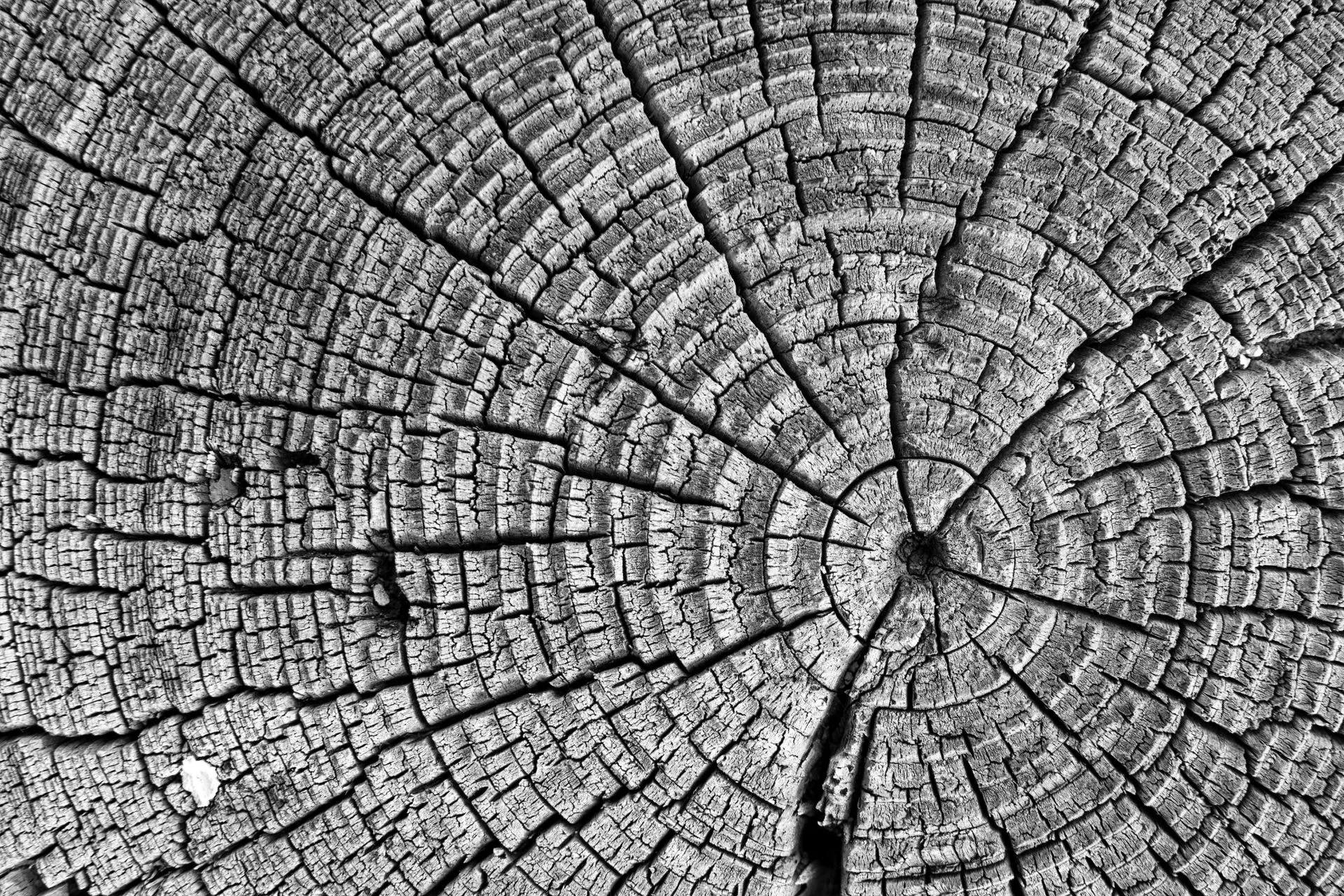 Timber maton hoito ja huolto – käytännöllinen valinta